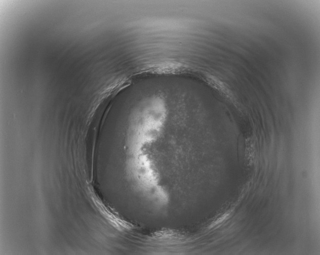 X0000060790589200511141446