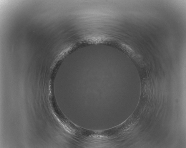 X0000060790590200511141446