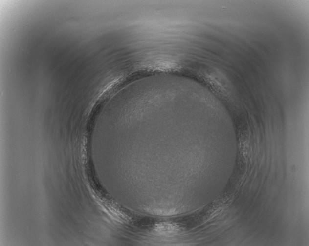 X0000060790591200511141446