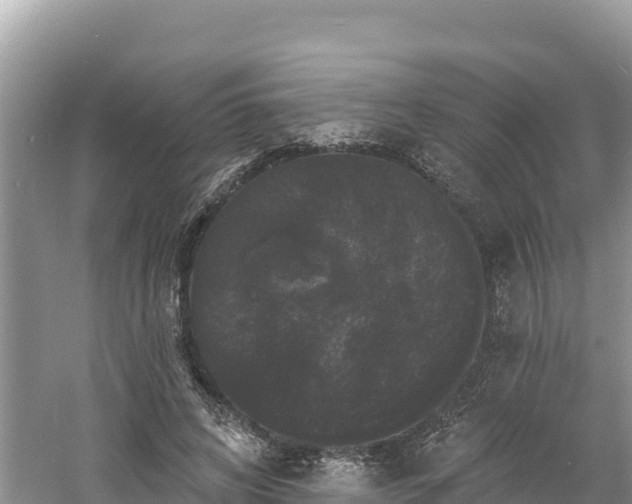 X0000060790592200511141446