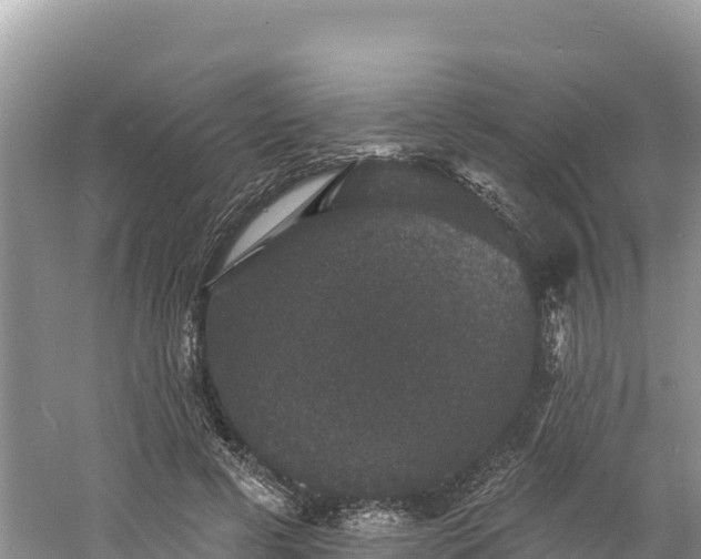 X0000060790593200511141446