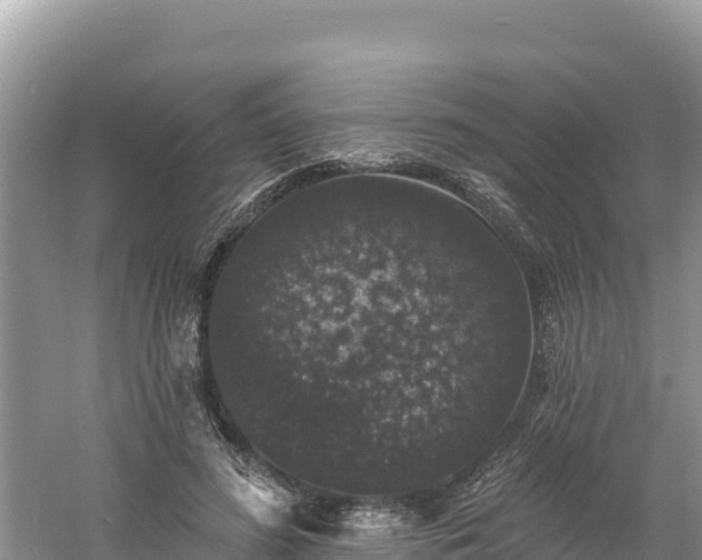 X0000060790596200511141446