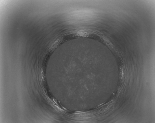 X0000060790597200511141446