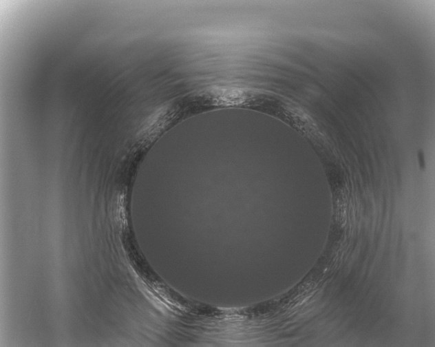 X0000060790598200511141446