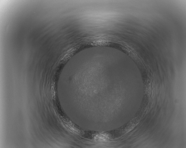 X0000060790599200511141446