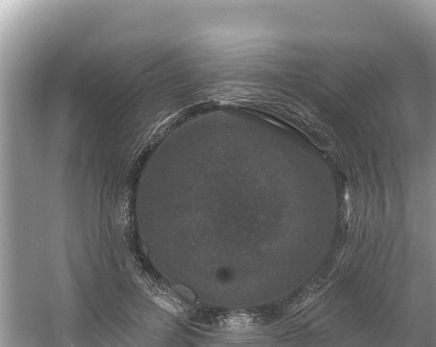 X0000060790600200511141446