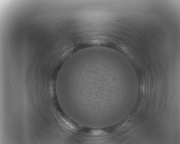 X0000060790605200511141445