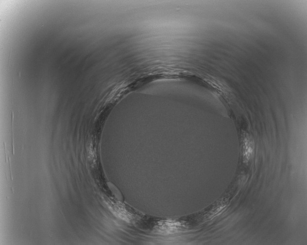 X0000060790607200511141445