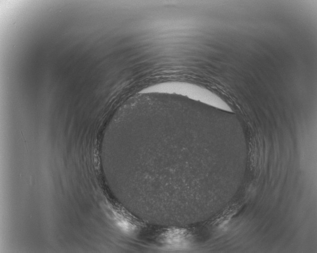 X0000060790609200511141445