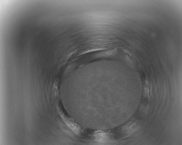 X0000060790620200511141445