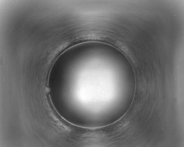 X0000060790625200511141444