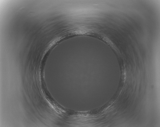 X0000060790626200511141444