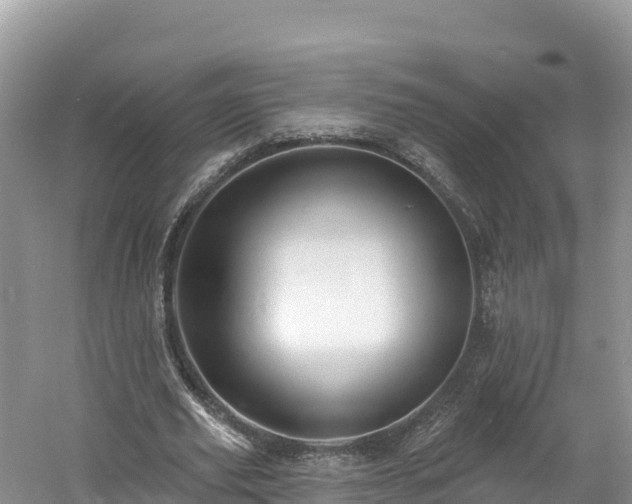 X0000060790629200511141444