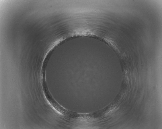 X0000060790630200511141444