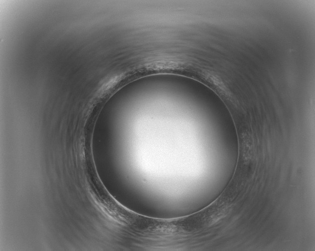 X0000060790631200511141444