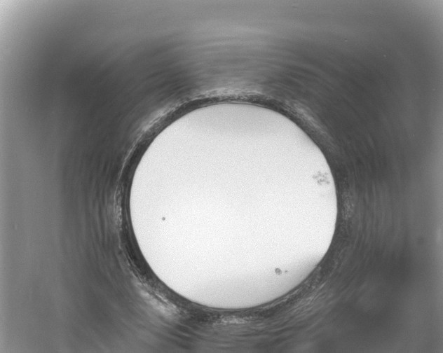 X0000060790632200511141444