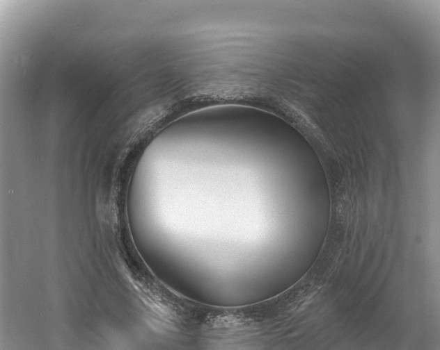 X0000060790635200511141445