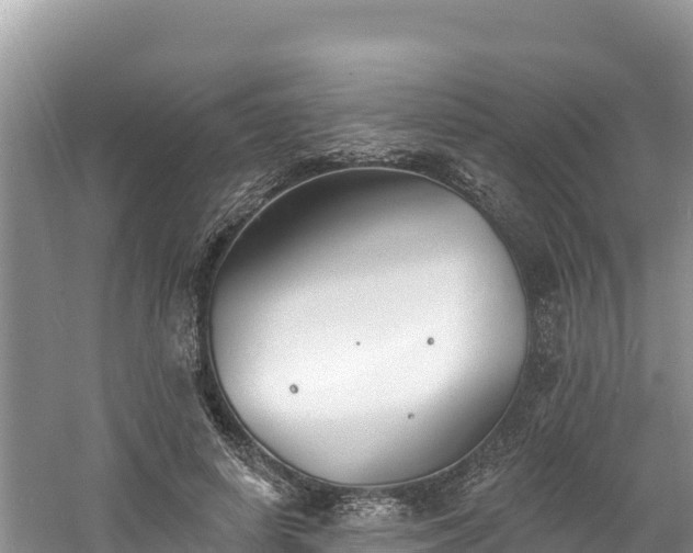 X0000060790642200511141445