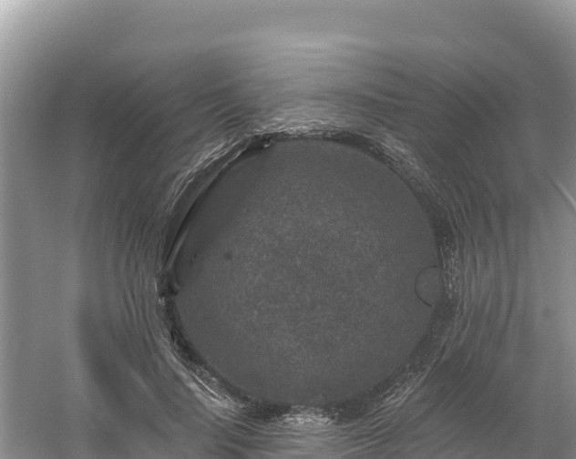 X0000060790644200511141445