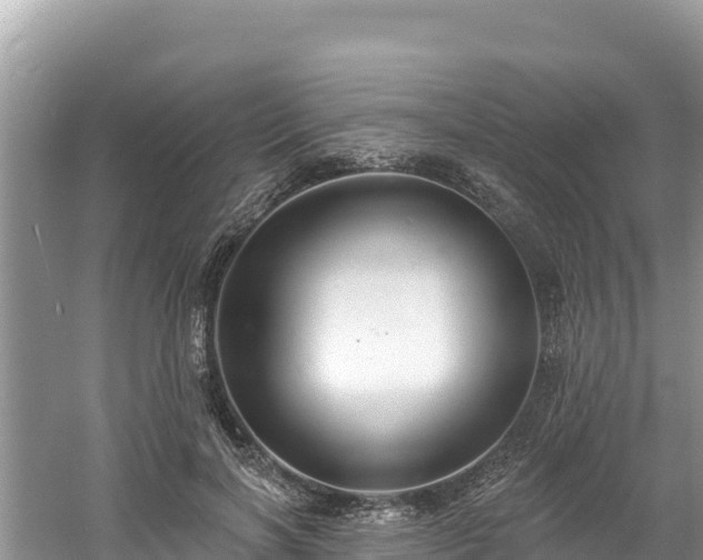 X0000060790646200511141445