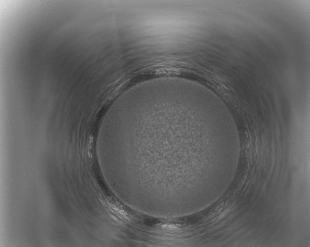 X0000060790649200511141445