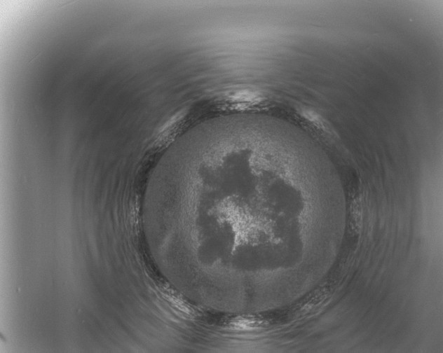 X0000060790657200511141445