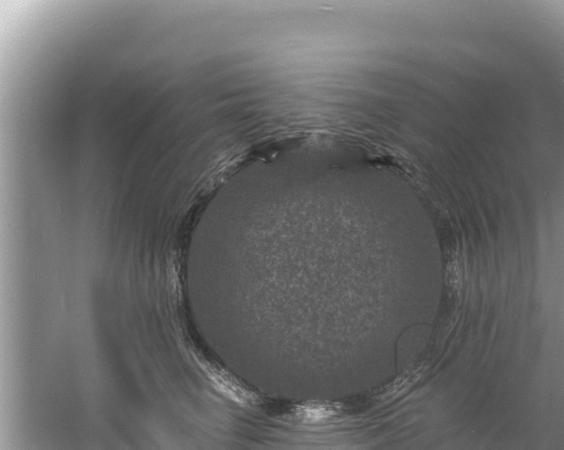 X0000060790662200511141445