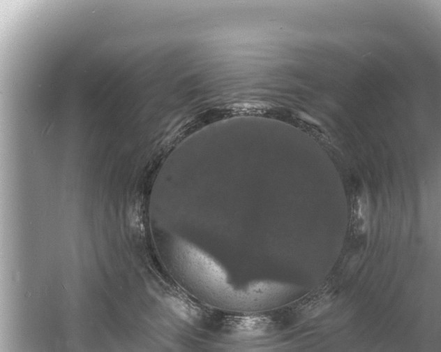 X0000060790663200511141445