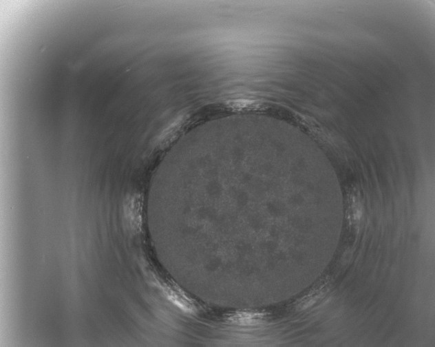 X0000060790664200511141445