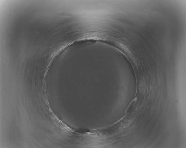 X0000060790673200511141444