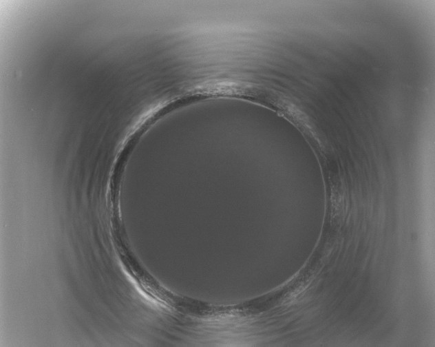 X0000060790674200511141444