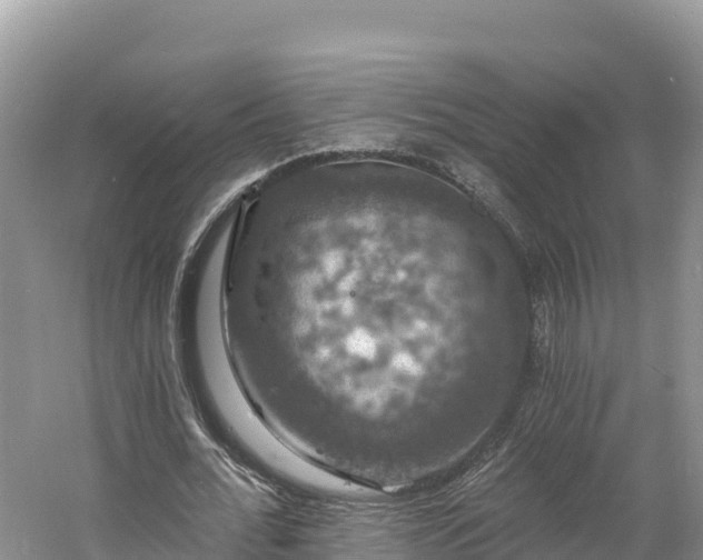 X0000060790676200511141444