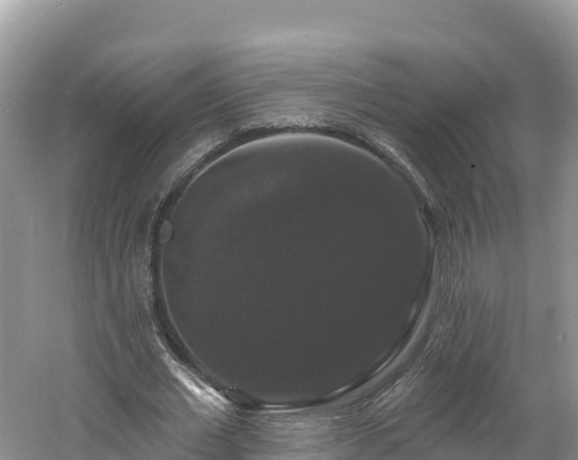 X0000060790677200511141444