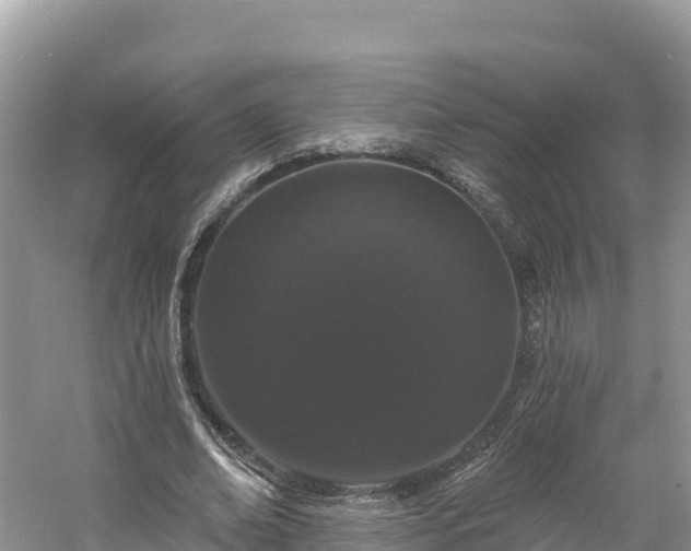 X0000060790678200511141444