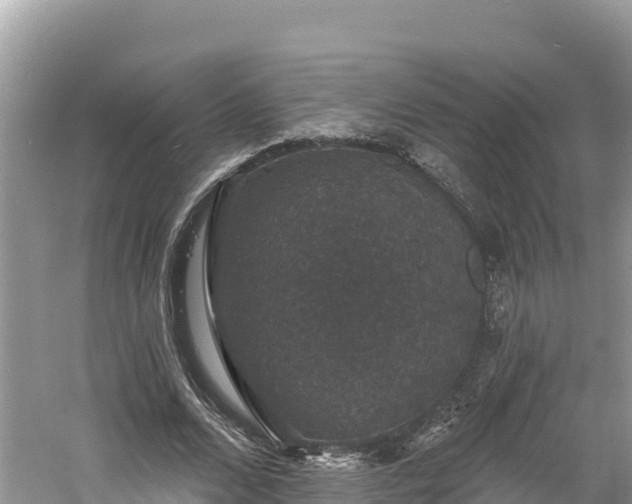 X0000060790680200511141444