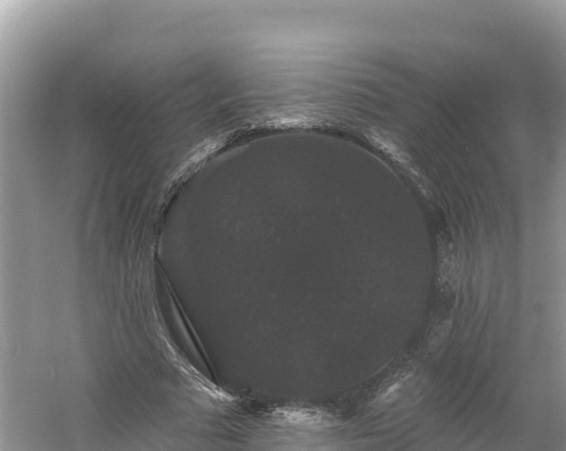 X0000060790681200511141444