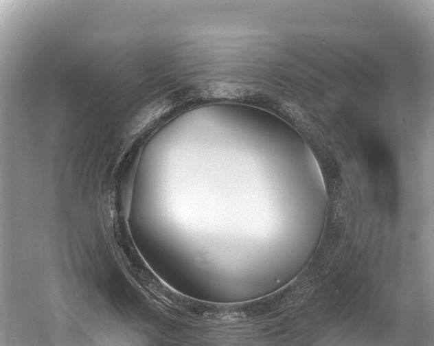 X0000060790683200511141444