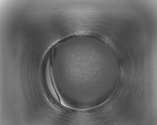 X0000060790684200511141444