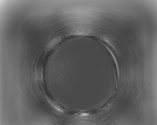 X0000060790685200511141444