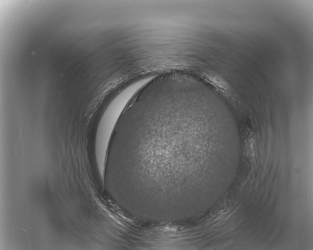 X0000060790687200511141444