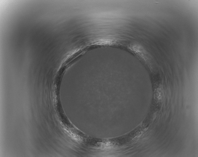 X0000060790688200511141444