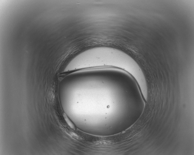 X0000060790691200511141444