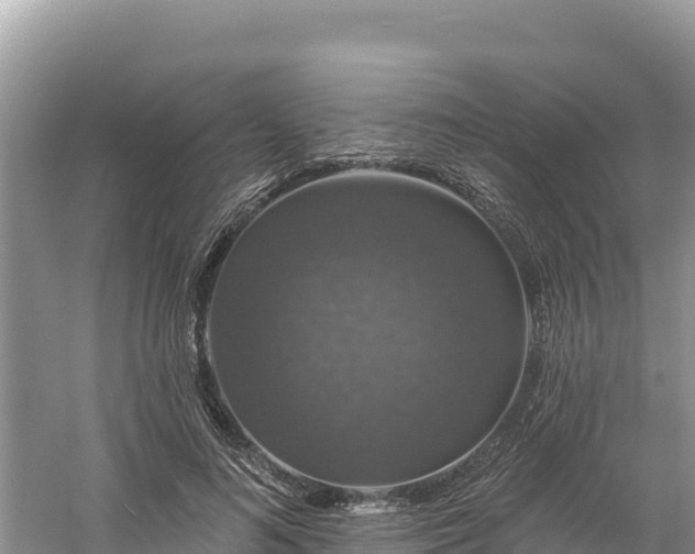 X0000060790692200511141444