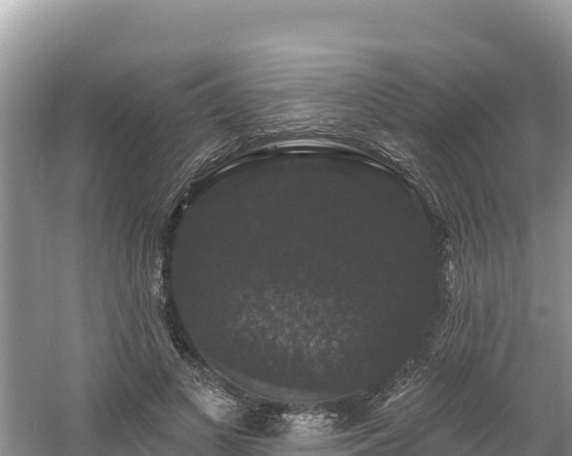 X0000060790693200511141444