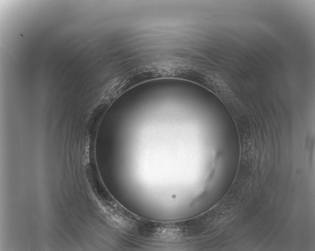 X0000060790694200511141444