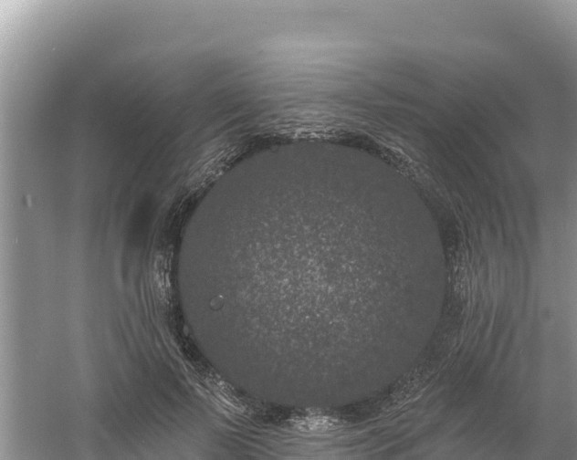 X0000060790695200511141444