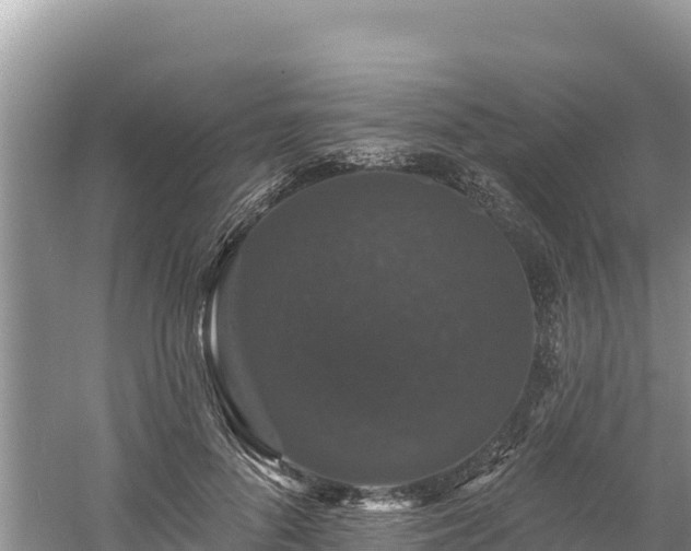 X0000060790696200511141444