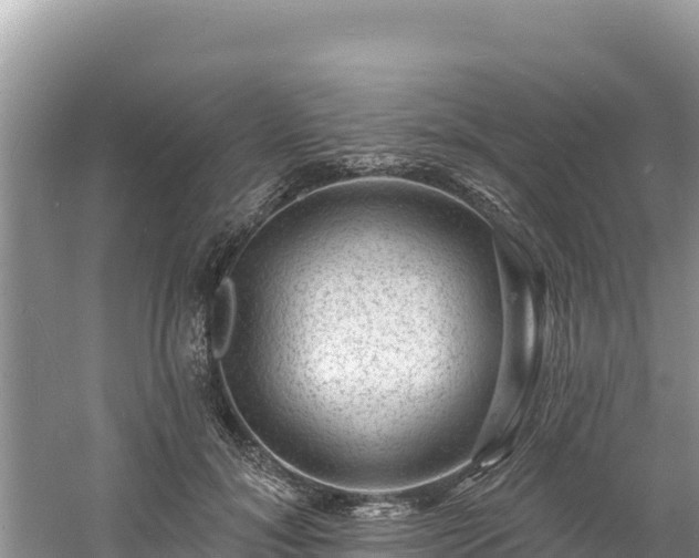 X0000060790700200511141444