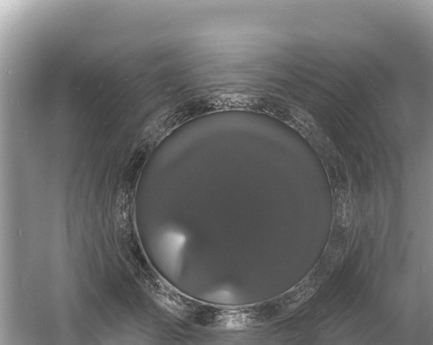 X0000060790701200511141444