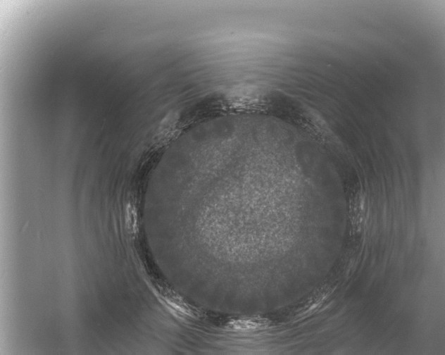 X0000060790703200511141444